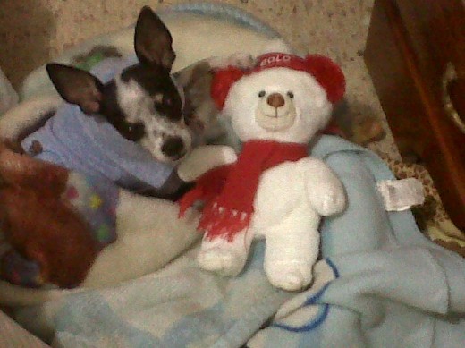 MI PIRITO JUGANDO CON SU REGALO DE NAVIDAD :)